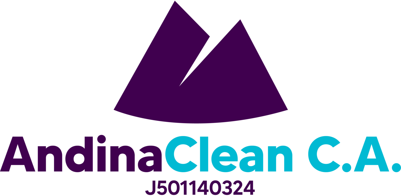 andinaclean.com